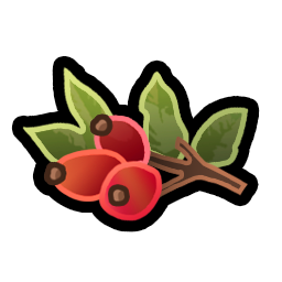 Rosehips.png