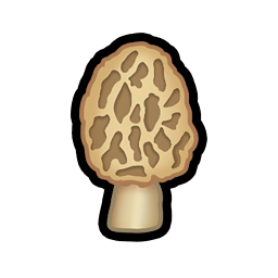 Morel Mushroom.png