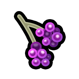 BeautyBerries.png