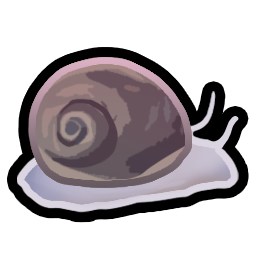 Moon Snail.png