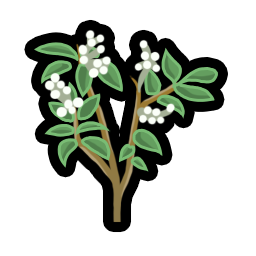 Meadowsweet.png