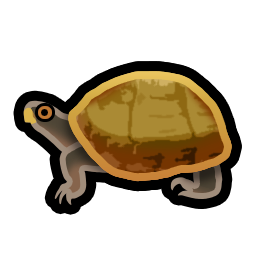 Turtle.png