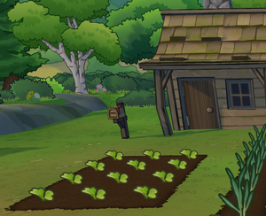 An in-game screenshot of a basic farming plot, showing 12 planted turnips in the middle stages of growth. The basic farm house and mailbox are behind the patch of crops, and it is sunny.