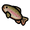 Trout.png