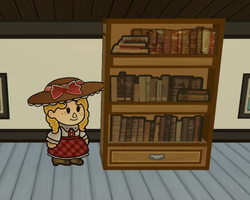 WoodenBookshelfPreview.png