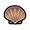 Scallop.png