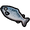 Salmon.png