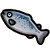 Salmon.png