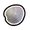 Clam.png