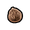 Walnut.png